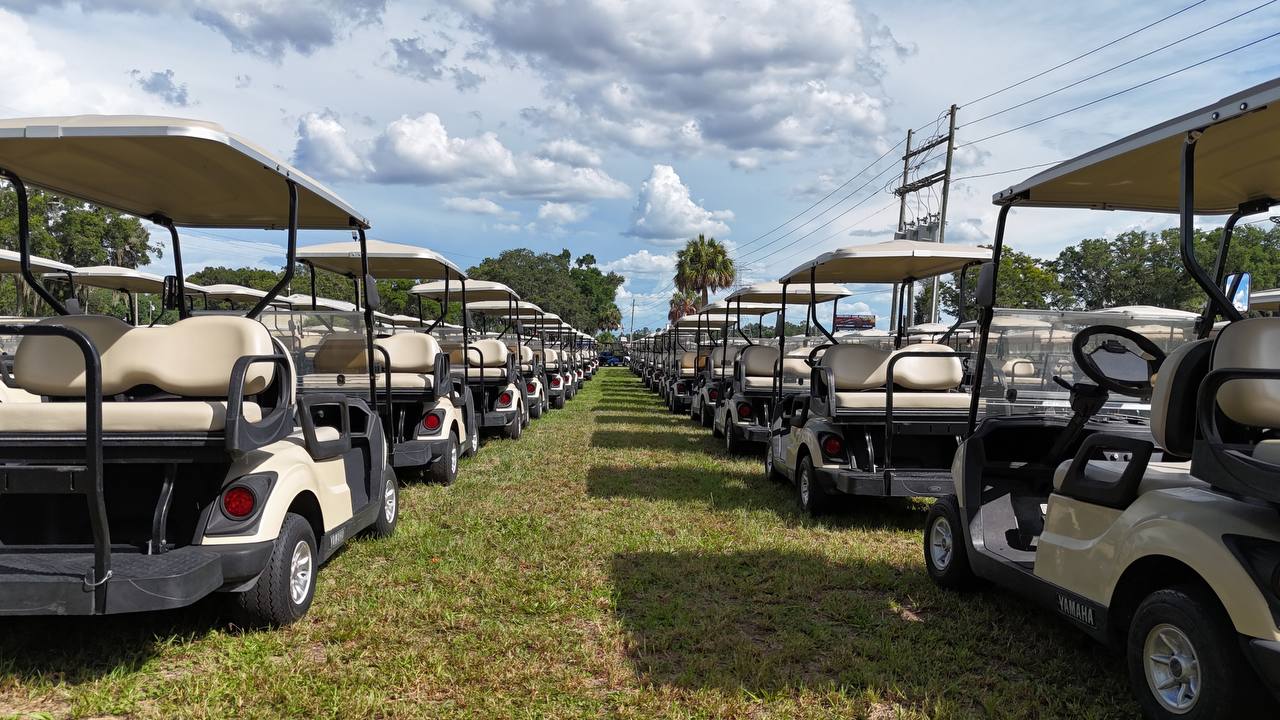 Large Golf Cart Fleet - Aerial View 3